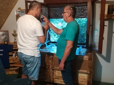 Značaj api komore