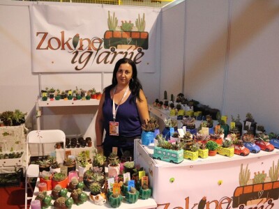 Zokine iglarije - kaktusi