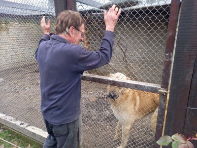 Zoo vrt "Miki" u Kolutu