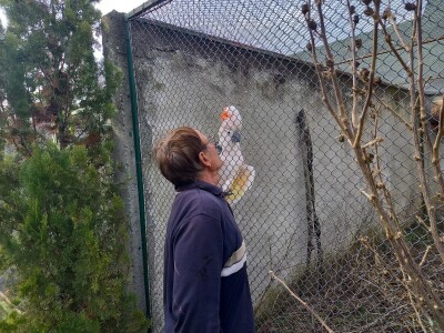 Zoo vrt "Miki" u Kolutu