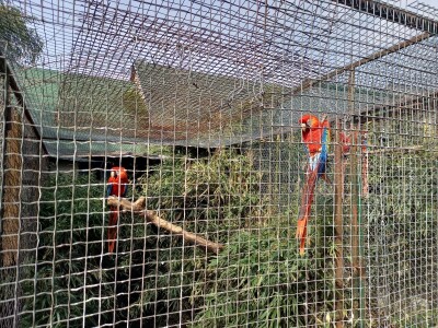 Zoo vrt "Miki" u Kolutu