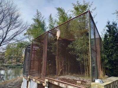 Zoo vrt "Miki" u Kolutu