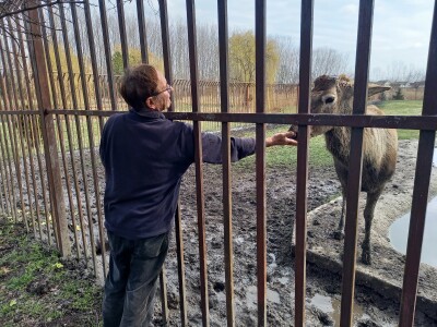 Zoo vrt "Miki" u Kolutu