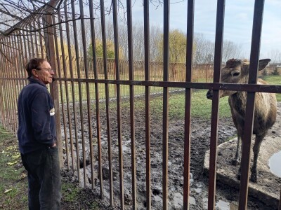 Zoo vrt "Miki" u Kolutu