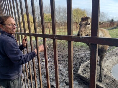 Zoo vrt "Miki" u Kolutu