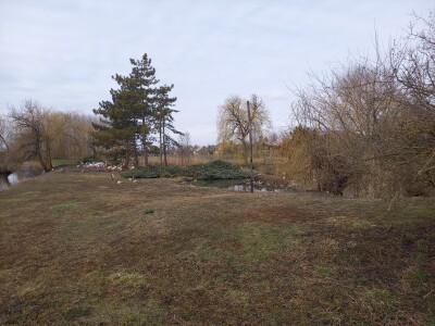 Zoo vrt "Miki" u Kolutu