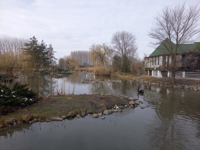 Zoo vrt "Miki" u Kolutu