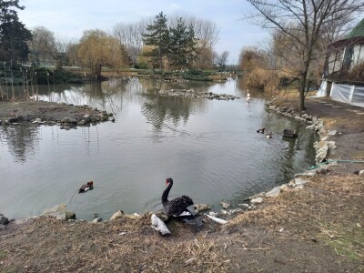 Zoo vrt "Miki" u Kolutu