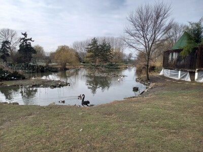 Zoo vrt "Miki" u Kolutu