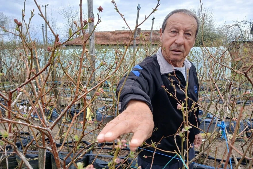 Najveća ulaganja u ovu proizvodnju su na početku, kaže Zoran