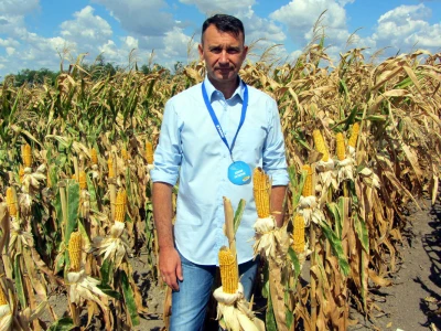 Zoran Petrović