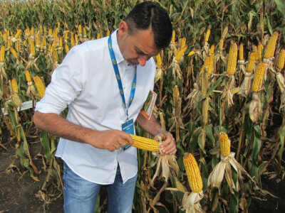 dr Zoran Petrović, direktor