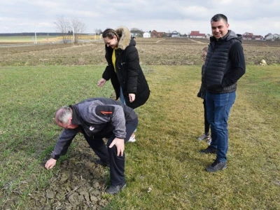 Zoran Piskač