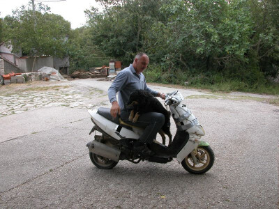 Vijerni Zoranov pas Cigo, pratitelj domaćina, za kojega kažu kako je pravi meštar za otkrivanje poskoka kamešničkom kršu