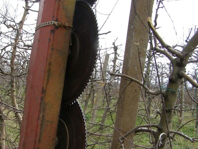 Zorić zimska rezidba