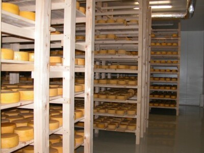 Zrionica rireva Puđa u Čaporicama