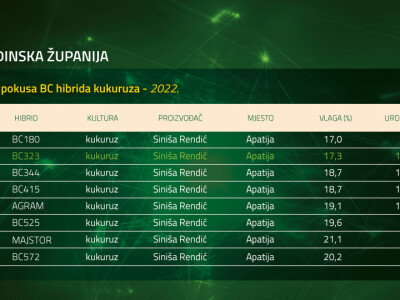 Županijski dan polja BC hibrida kukuruza