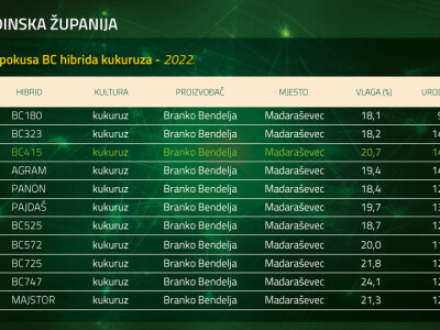 Županijski dan polja BC hibrida kukuruza