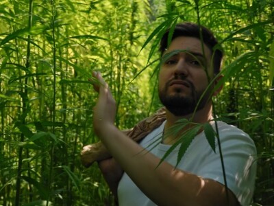 Farma crnih svinja Domagoja Vide Farma crnih svinja Domagoja Vide