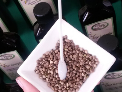 Đakovačka eko konoplja na 10 ha