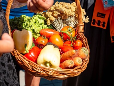 Zvonimirova marenda u Kninu