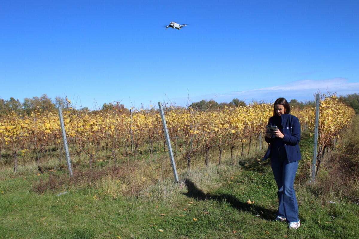 Enosophia, Timac Agro