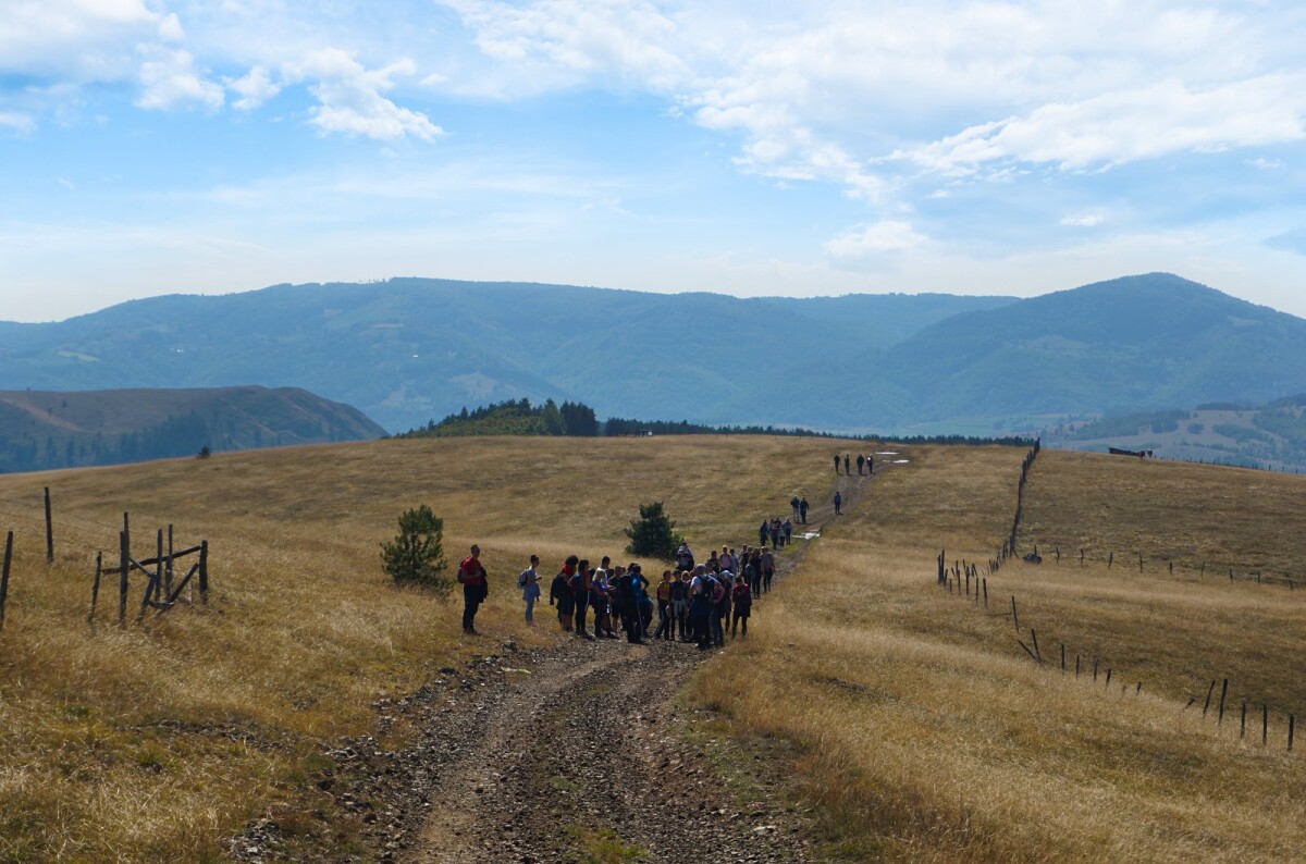 Tometino Polje