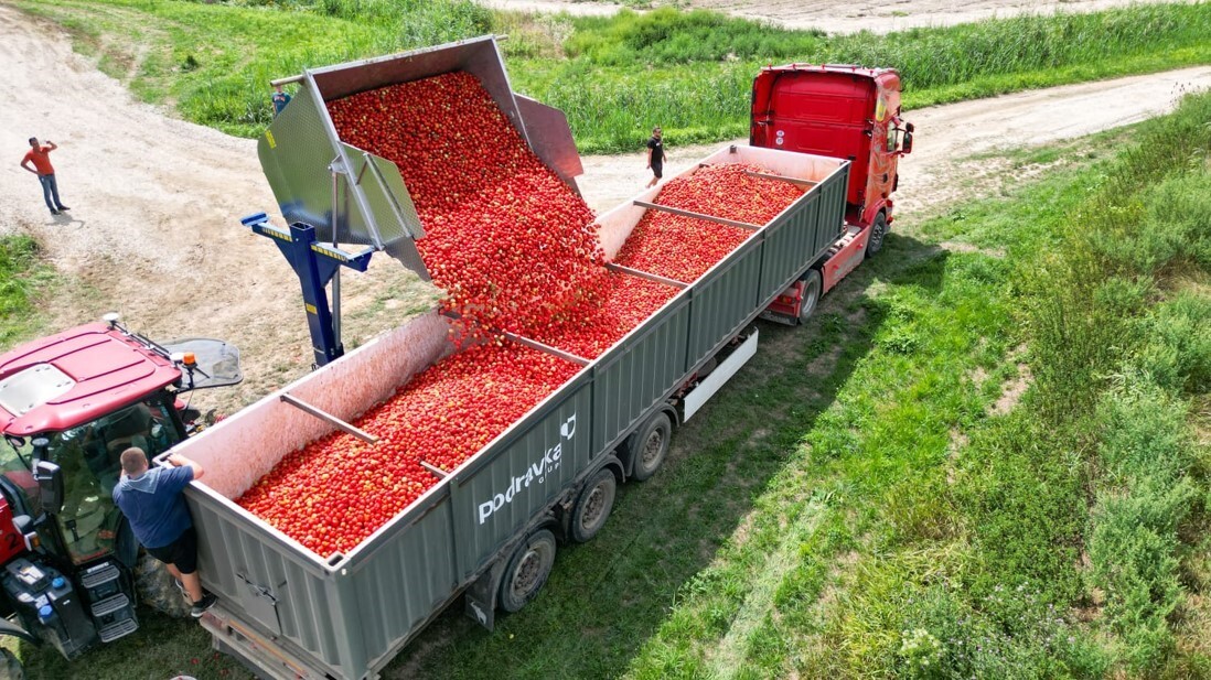 rajčica Podravka