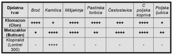 uljana repica - tablica