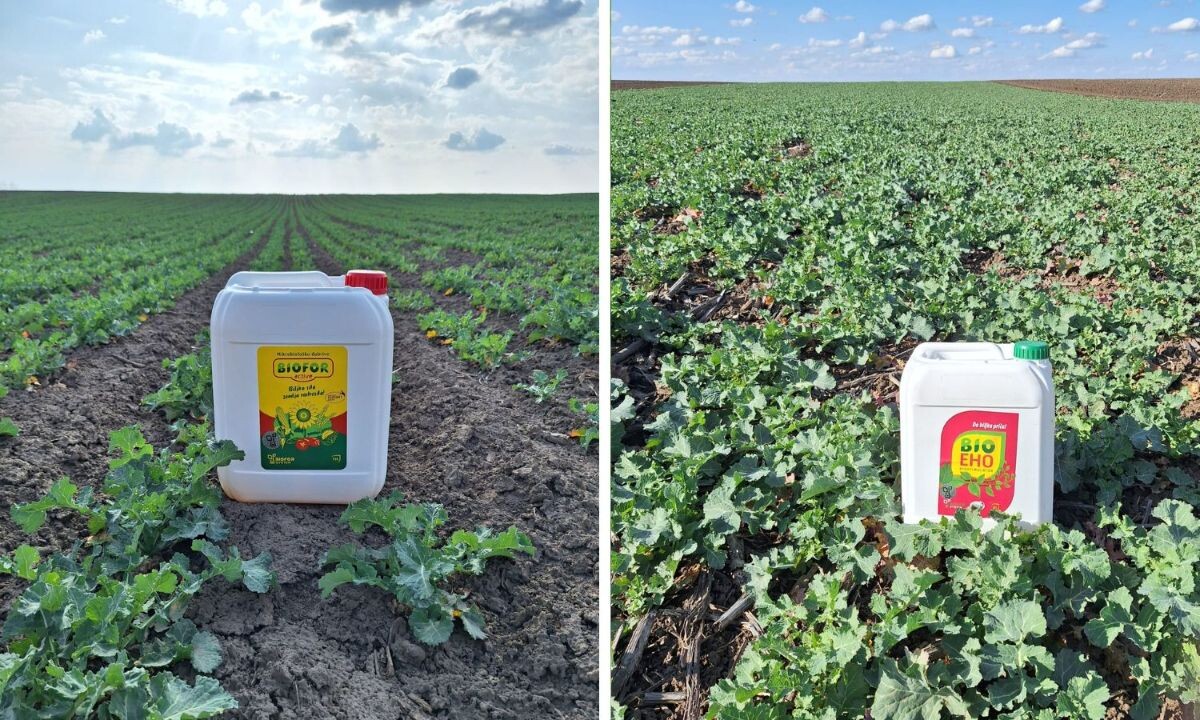 biofor active bio eho uljana repica