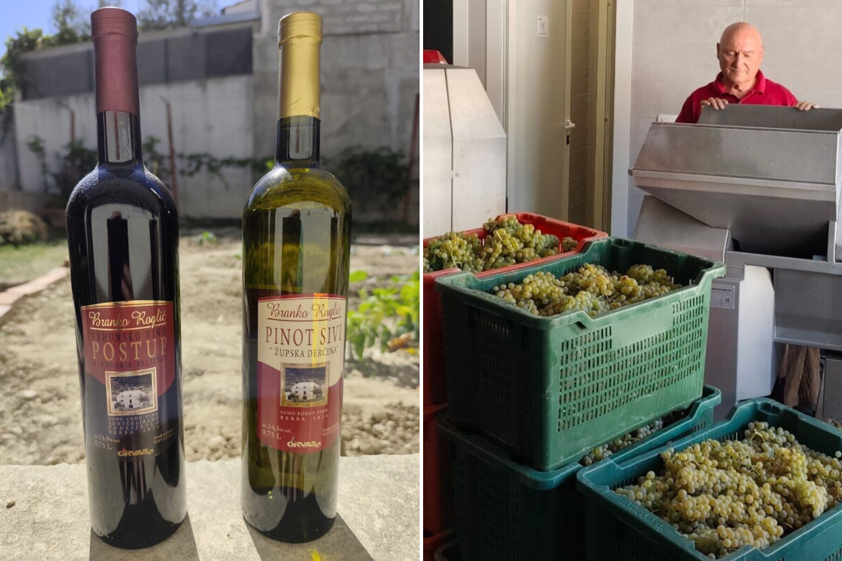 Roglić vino