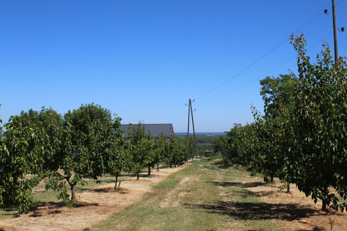 Škobić: Zbog klimatskih promjena trebamo razmisliti o tzv. bazenima ...