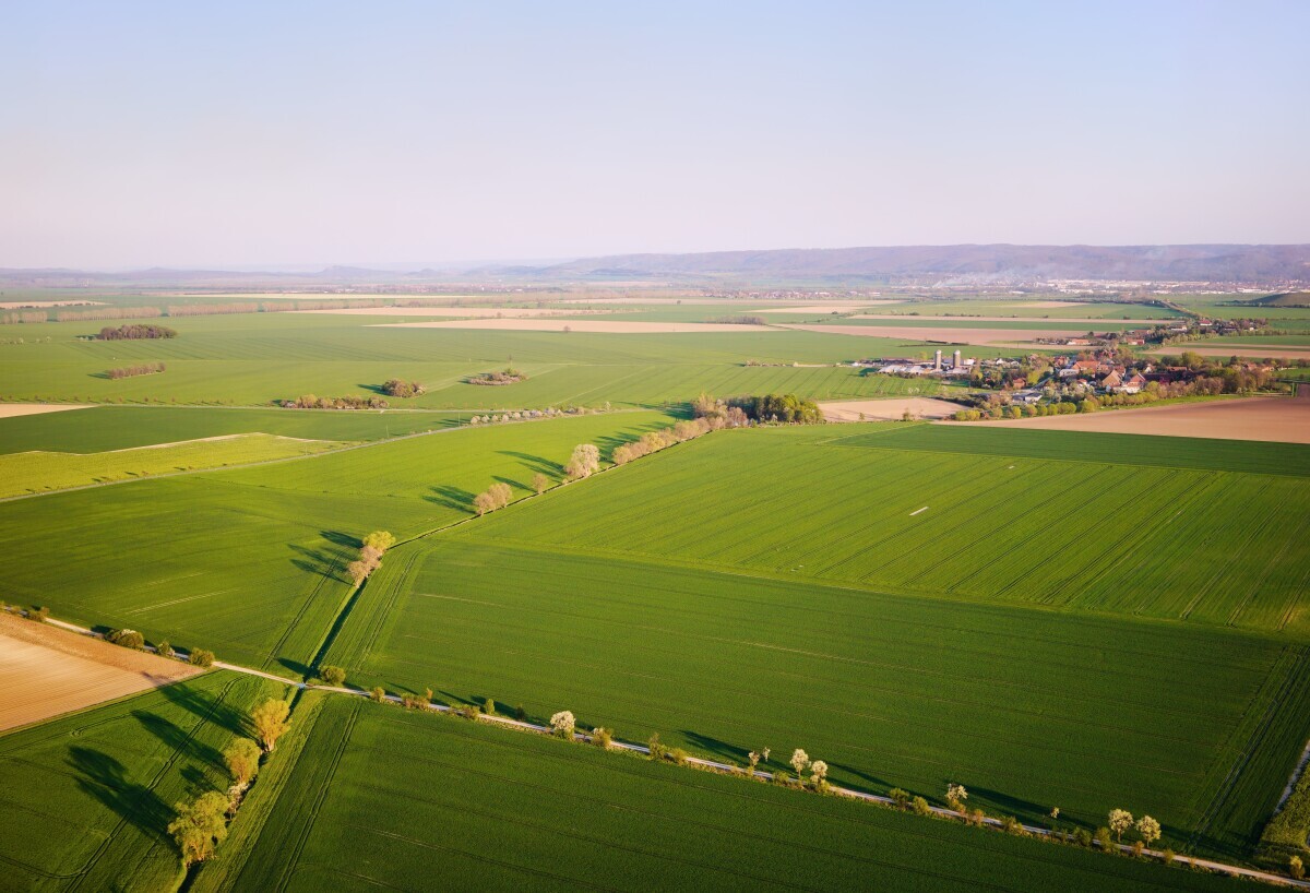 Otto von Bismarck - Saska-Anhalt