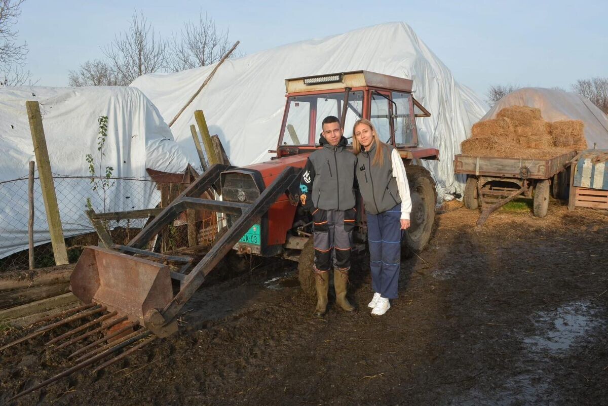 Brat i sestra Dmitrović na farmi