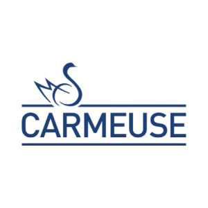 Partner logo