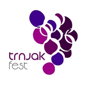 Partner logo