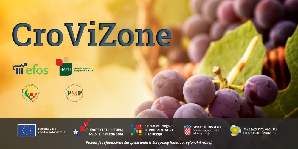 CroViZone