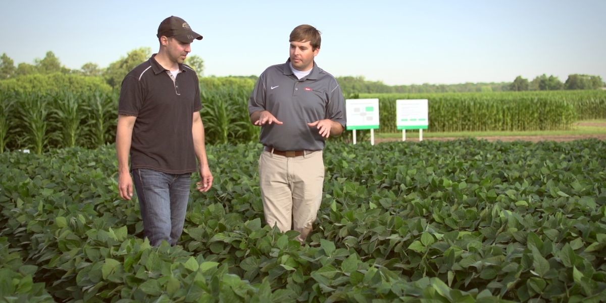 Dow AgroSciences