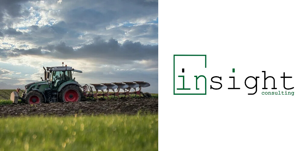 Insight Consulting