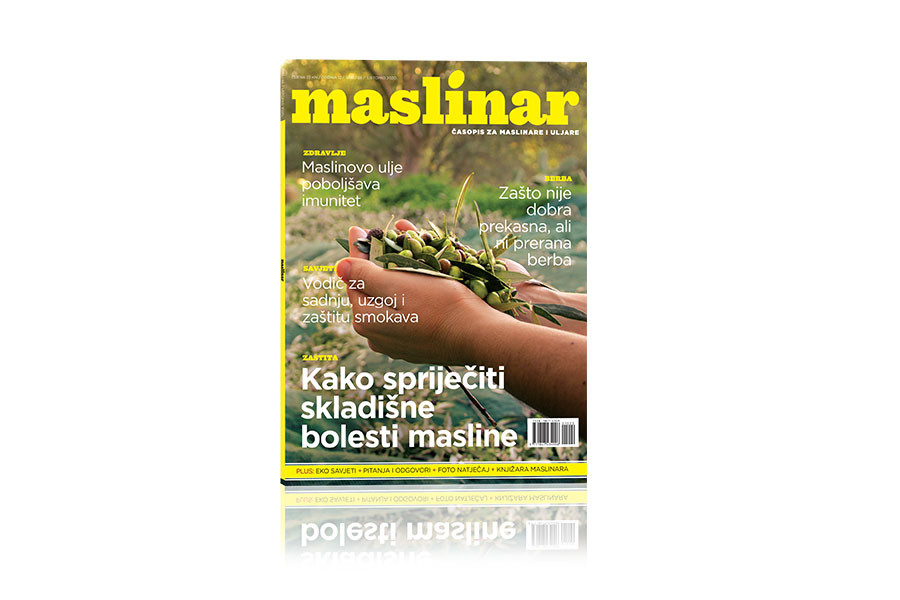 Časopis Maslinar