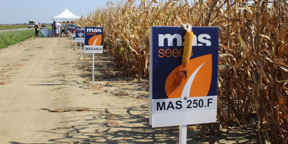 MAS Seeds