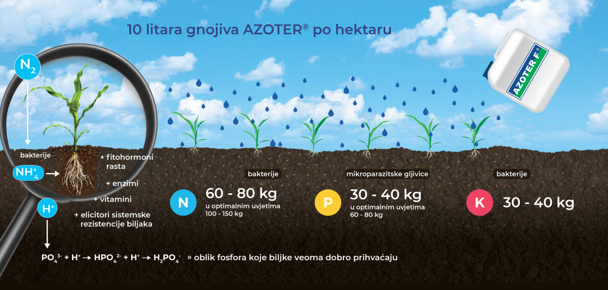 AZOTER Trading s.r.o. (RH)