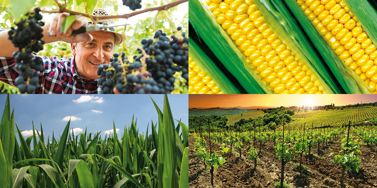 Belchim Crop Protection HR d.o.o.
