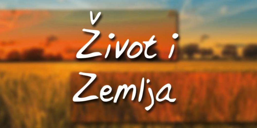 Slavonskobrodska televizija
