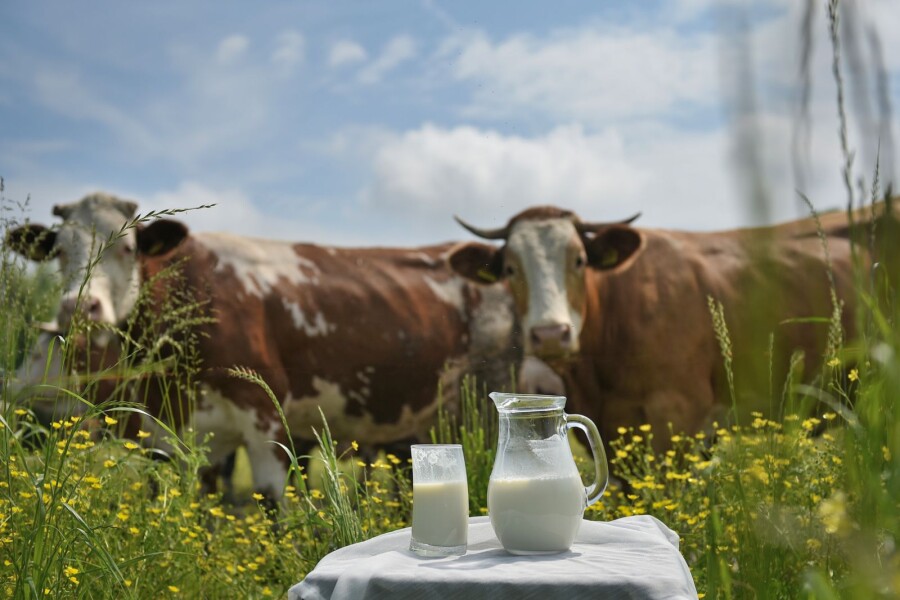 Udruženje poljoprivrednih proizvođača - mljekara Republike Srpske