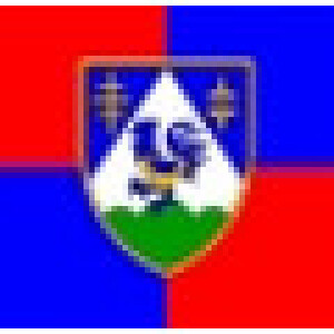 Partner logo