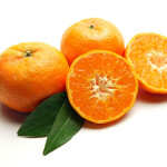 Mandarina