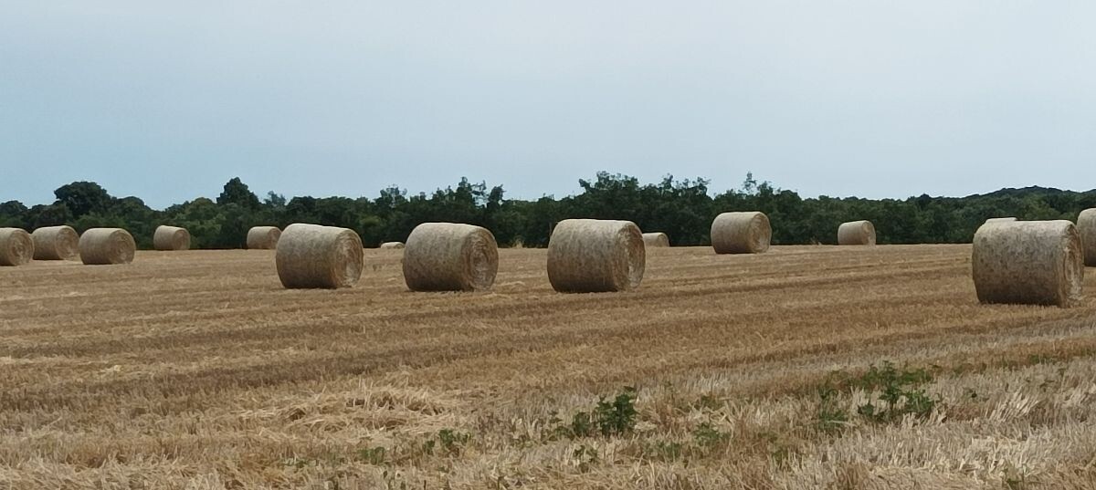 rolo bale