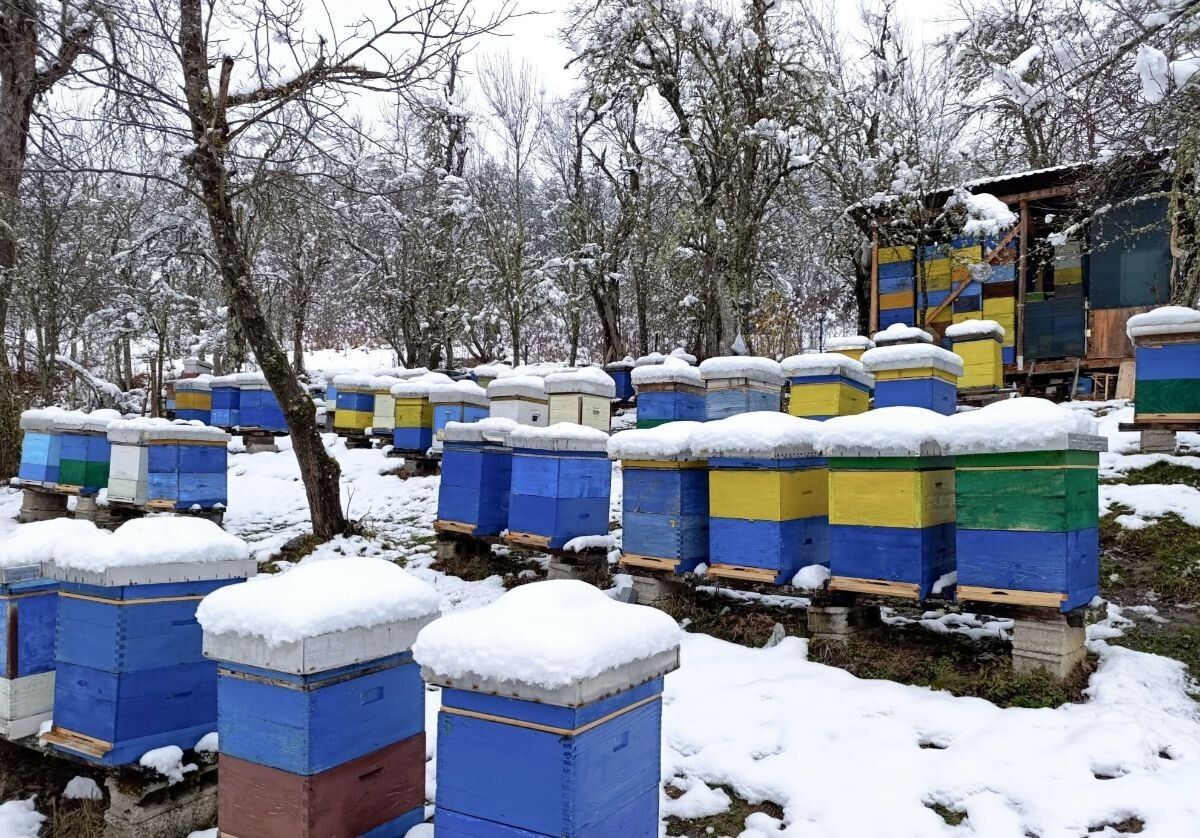 snijeg na košnicama