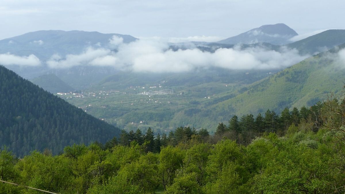 selo panorama